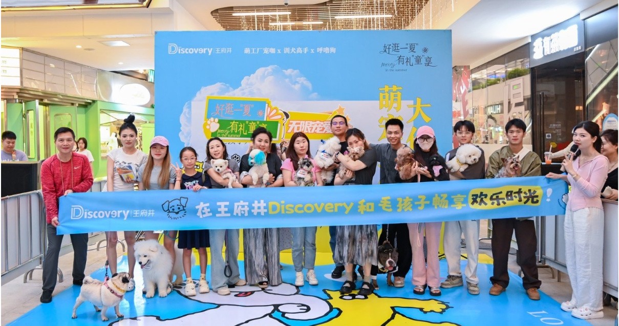 成都918博天堂Discovery