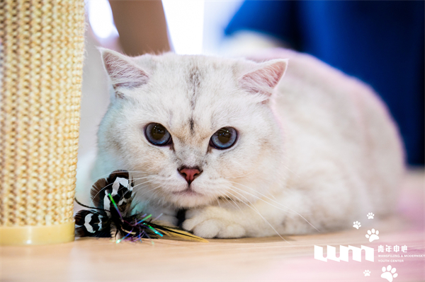 首页| 918博天堂中国官方网站