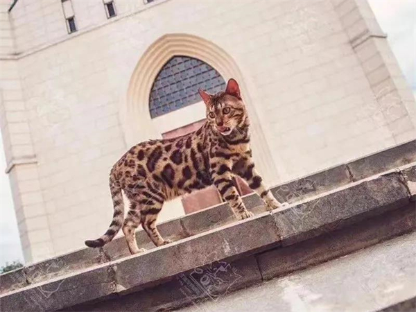 首页| 918博天堂中国官方网站