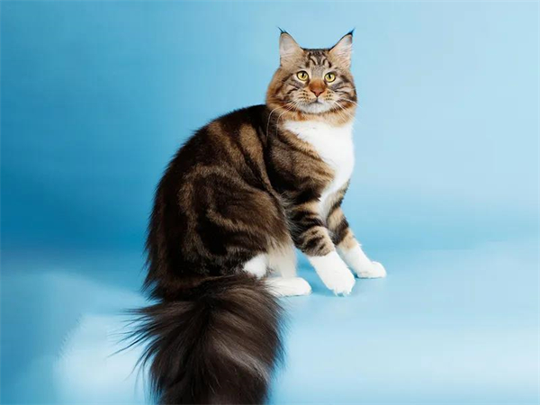 首页| 918博天堂中国官方网站