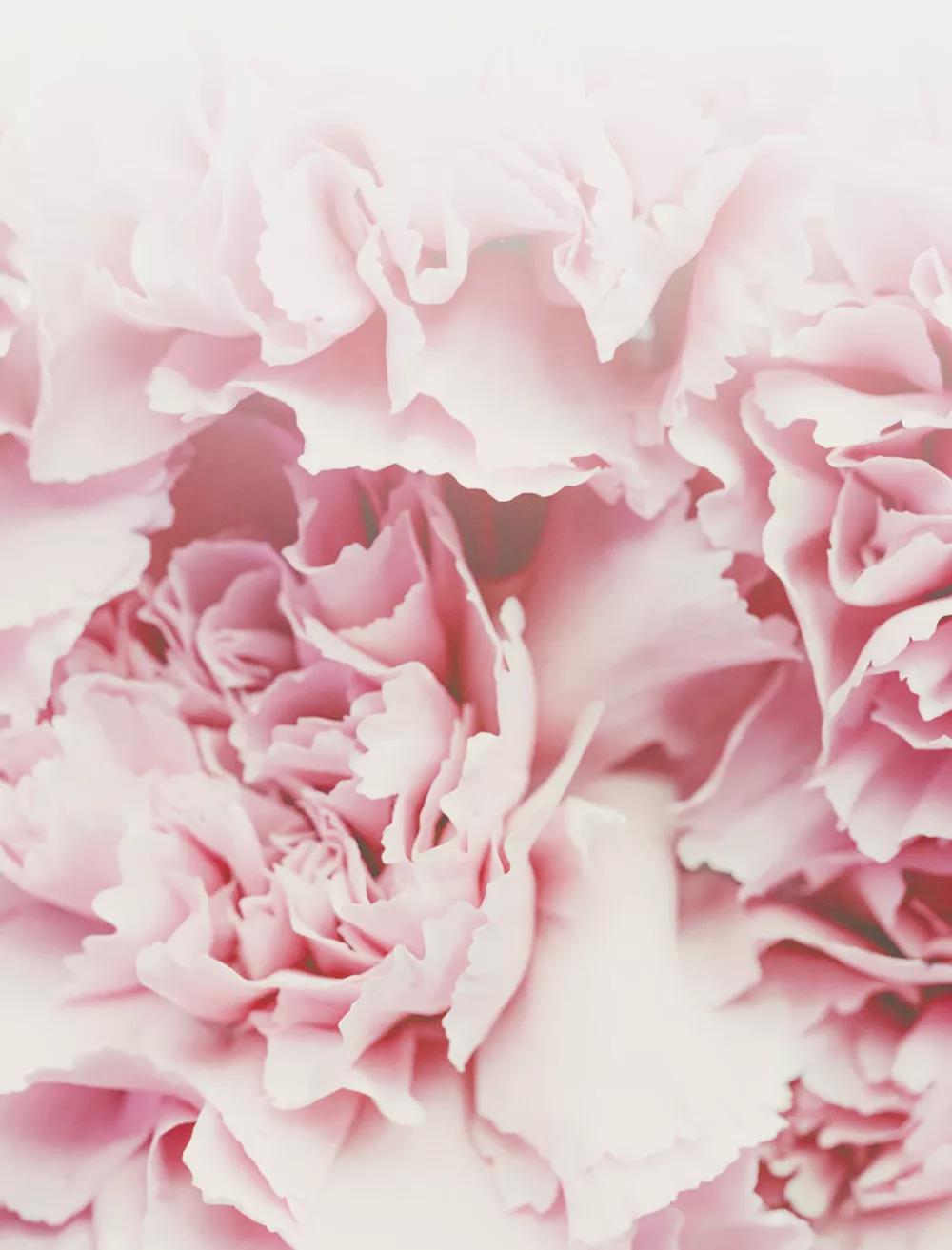 首页| 918博天堂中国官方网站