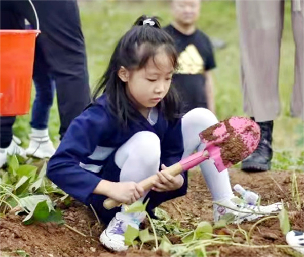首页| 918博天堂中国官方网站