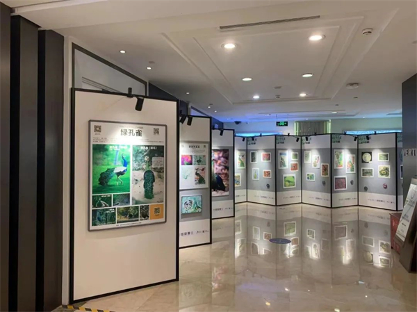 首页| 918博天堂中国官方网站