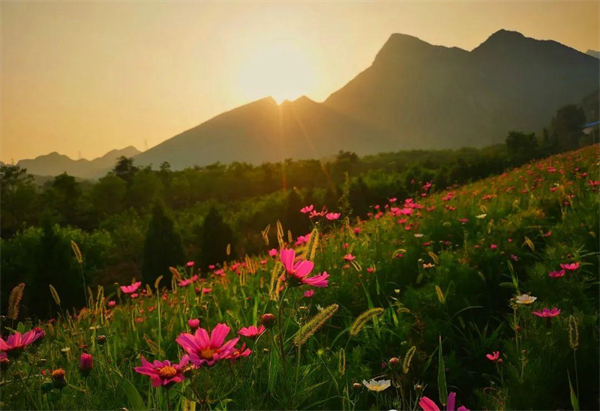 首页| 918博天堂中国官方网站