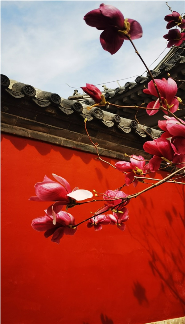 首页| 918博天堂中国官方网站