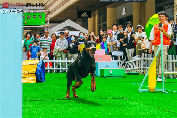 首页| 918博天堂中国官方网站