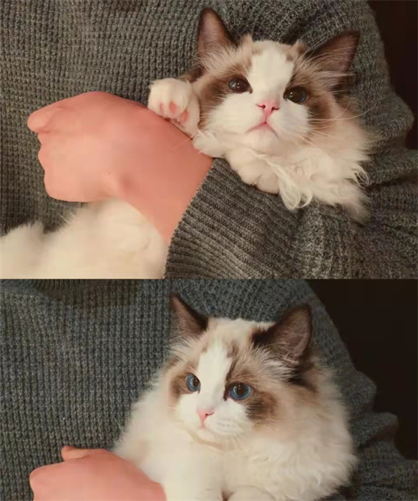 首页| 918博天堂中国官方网站